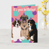 Bernese, Saint Bernard, Leonberger Birthday Kaart (Gele Bloem)