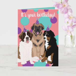 Bernese, Saint Bernard, Leonberger Birthday Kaart