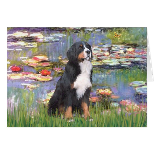 Bernese - Waterlelies 2 (Voorkant Horizontaal)