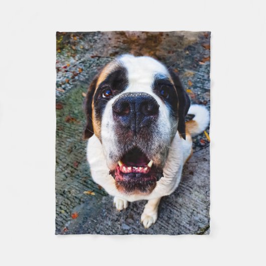 Bernhadiner  fleece deken (Voorkant)