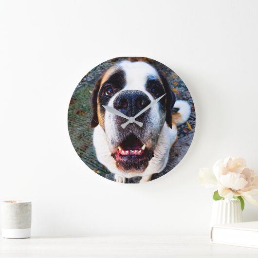 Bernhadiner grote klok (Huis)