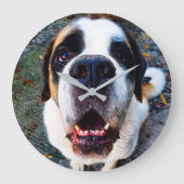 Bernhadiner  grote klok (Voorkant)