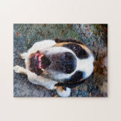 Bernhadiner  legpuzzel (Horizontaal)