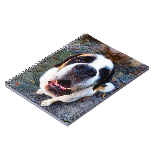 Bernhadiner  notitieboek (Linkerzijde)