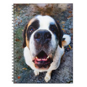 Bernhadiner  notitieboek (Voorkant)