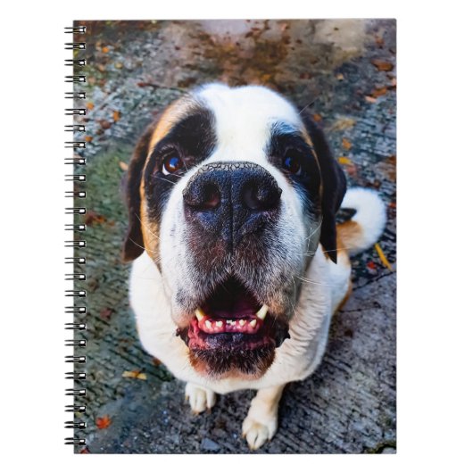 Bernhadiner  notitieboek (Voorkant)