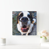 Bernhadiner  vierkante klok (Huis)