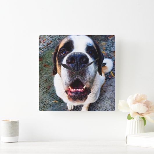 Bernhadiner  vierkante klok (Huis)