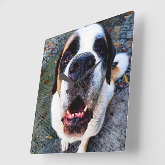 Bernhadiner  vierkante klok (Hoek)