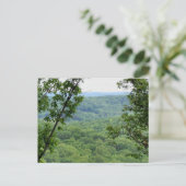Bernheim Forest Briefkaart (Staand voorkant)