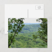 Bernheim Forest Briefkaart (Voorkant / Achterkant)