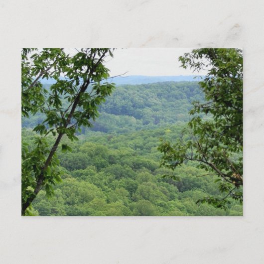 Bernheim Forest Briefkaart (Voorkant)