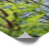 Bernheim Forest Pond Print (Hoek)