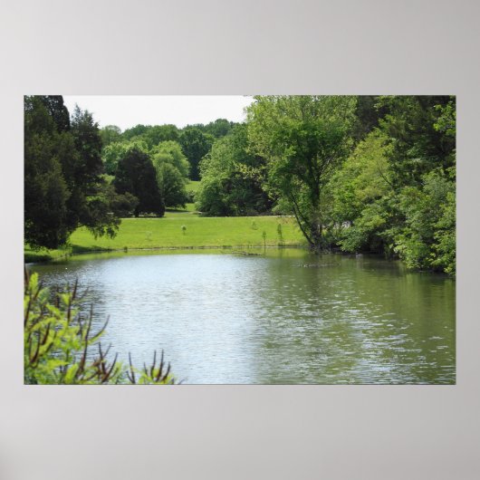 Bernheim Forest Pond Print (Voorkant)