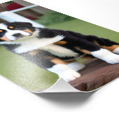 Bernice Mountain Puppy Satin Foto Uitbreiding Afdruk (Hoek)