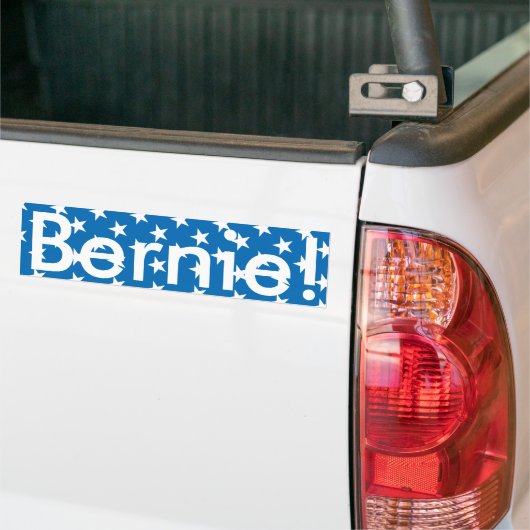 Bernie Bumpersticker (Op Truck)
