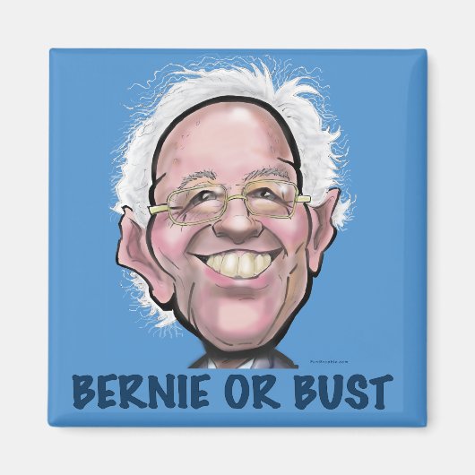 BERNIE OF NIETS MAGNEET (Voorkant)