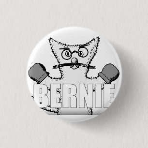 Bernie Sanders Cat met Mittens Ronde Button 3,2 Cm