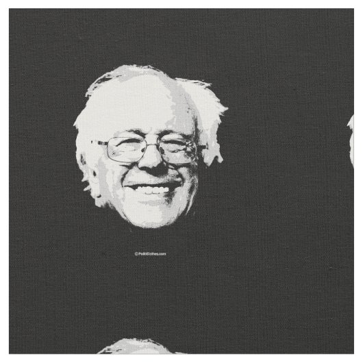 Bernie Sanders Face Stof (Close Up)