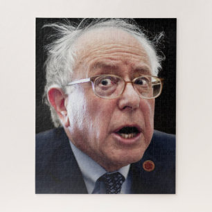 Bernie Sanders Legpuzzel