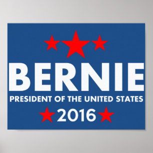 Bernie Sanders voor President 2016 Poster
