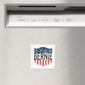 BERNIE sterren en strepen Magneet (Insitu (Vaatwasser))