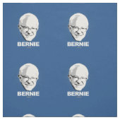 BERNIE STOF (Swatch)