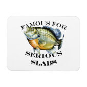 beroemd voor ernstig slakkenlicht magneet (Horizontaal)