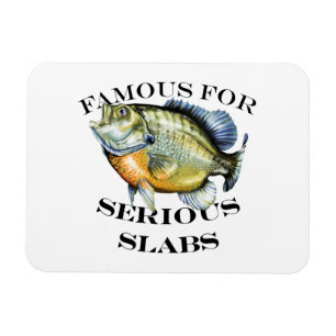 beroemd voor ernstig slakkenlicht magneet