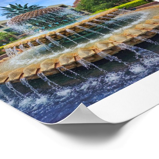 Beroemde ananasfontein in Charleston, SC poster (Hoek)