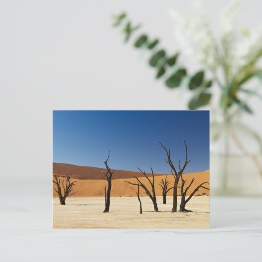 beroemde Deadvlei met dode bomen, woestijn 3 Briefkaart (Staand voorkant)