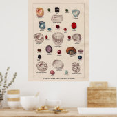 Beroemde edelstenen en kostbare stenen poster (Keuken)