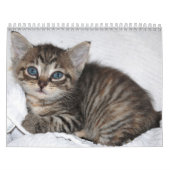 beroemde Mirakel Manx-kalender Kalender (Hoes)