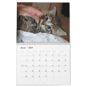 beroemde Mirakel Manx-kalender Kalender (Mar 2027)