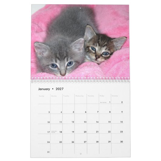 beroemde Mirakel Manx-kalender Kalender (Jan 2027)