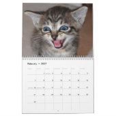beroemde Mirakel Manx-kalender Kalender (Feb 2027)