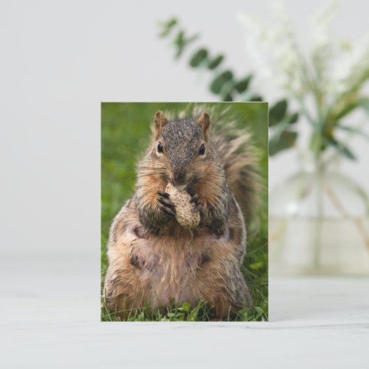 beroemde vosseneekhoorn briefkaart (Staand voorkant)