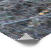 beroemde woorden: Courage - Deer - Poster (Hoek)