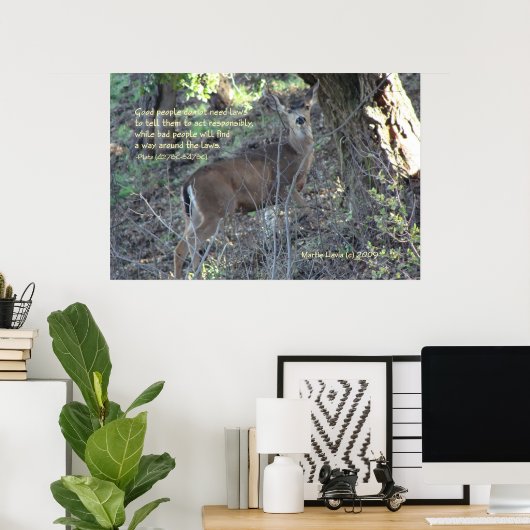 beroemde woorden: wetten - deer - Poster (Thuiskantoor)