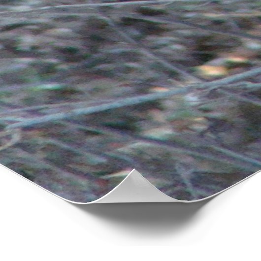 beroemde woorden: wetten - deer - Poster (Hoek)