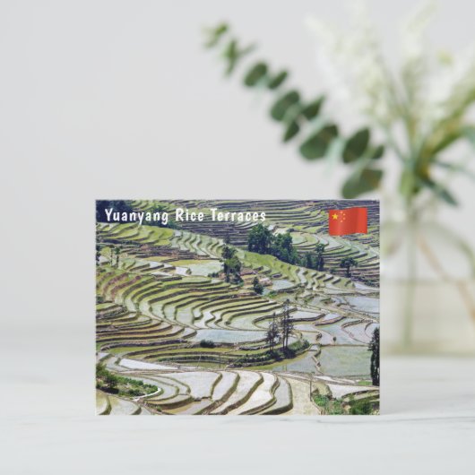 Beroemde Yuanyang Rijstterrassen - Yunnan, China Briefkaart (Staand voorkant)