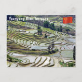 Beroemde Yuanyang Rijstterrassen - Yunnan, China Briefkaart (Voorkant)