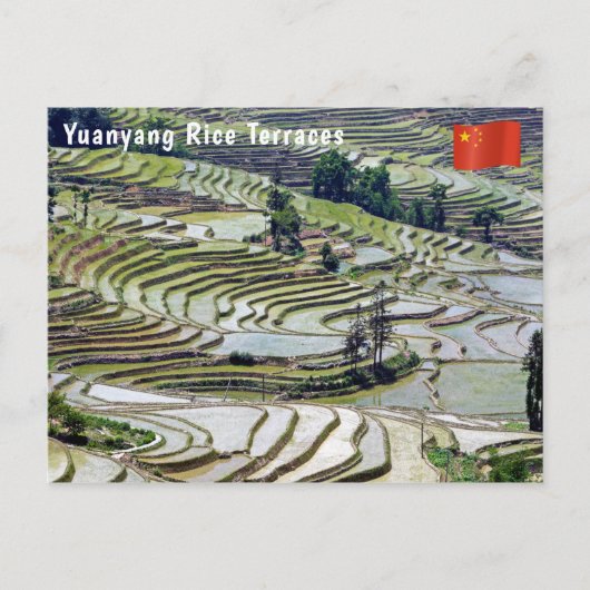 Beroemde Yuanyang Rijstterrassen - Yunnan, China Briefkaart (Voorkant)