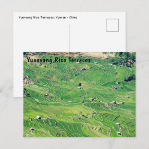 Beroemde Yuanyang Rijstterrassen - Yunnan, China Briefkaart