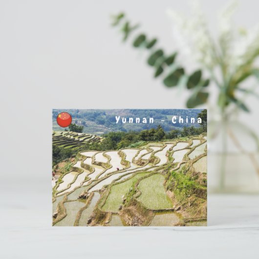 Beroemde Yuanyang Rijstterrassen - Yunnan, China Briefkaart (Staand voorkant)
