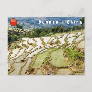 Beroemde Yuanyang Rijstterrassen - Yunnan, China Briefkaart
