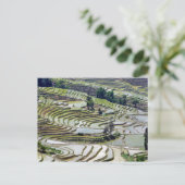 Beroemde Yuanyang Rijstterrassen - Yunnan, China Briefkaart (Staand voorkant)
