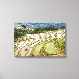 Beroemde Yuanyang Rijstterrassen - Yunnan, China Canvas Afdruk