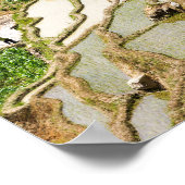 Beroemde Yuanyang Rijstterrassen - Yunnan, China Poster (Hoek)