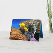 Beroemde zeemeermin kaart (Voorkant)